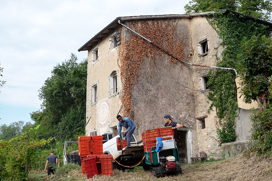 ローズホテル横浜｜重慶飯店｜ワインフェア｜ヴェネト州｜Balan｜バラン